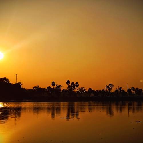 Photo #13305225