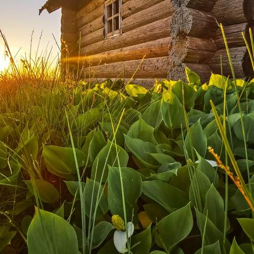 Фотография #13305286