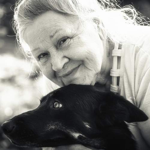 Photo #13305346