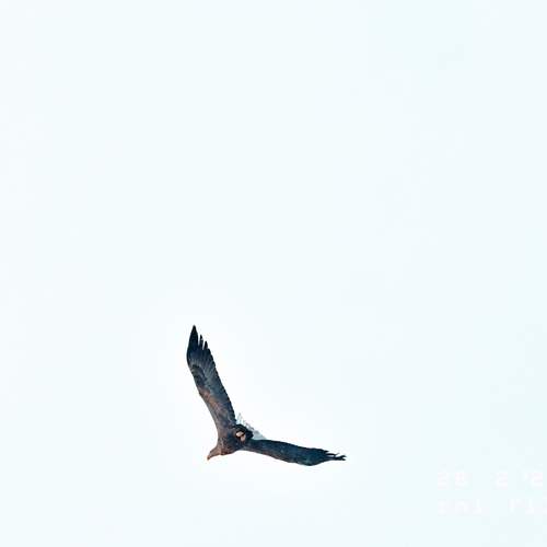 Photo #13305404