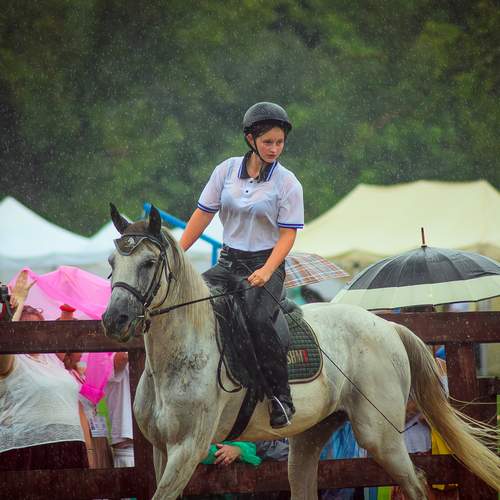 Photo #13305424