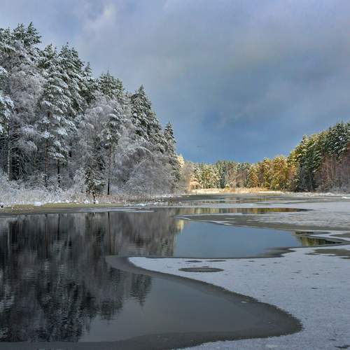 Photo #13305484