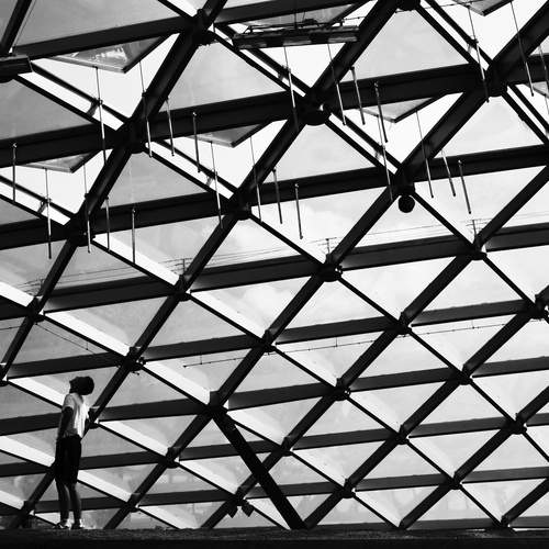 Photo #13305516
