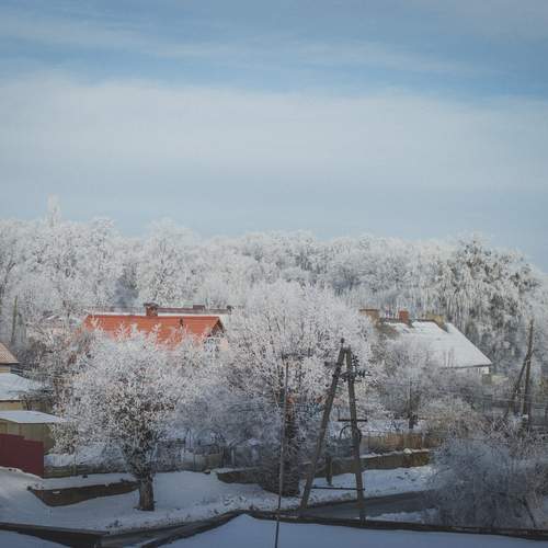 Photo #13305647