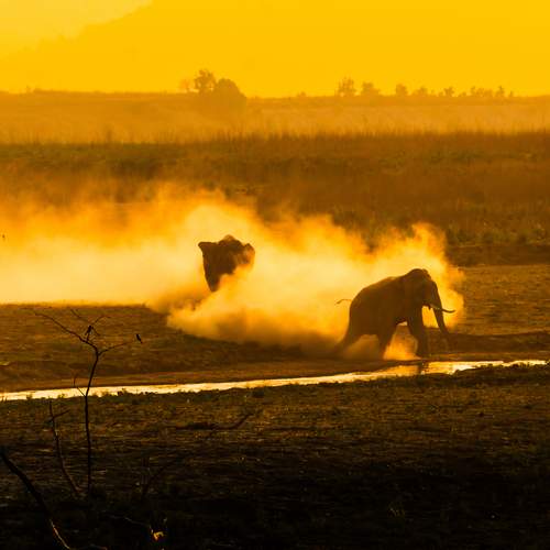 Photo #13305706