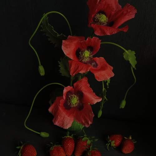 Photo #13305710