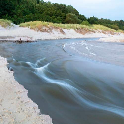 Photo #13305728