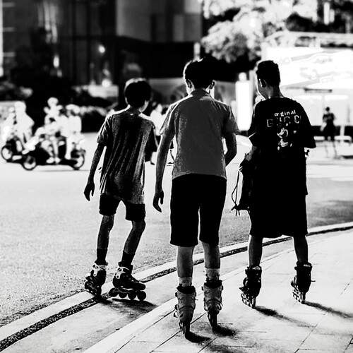 Photo #13305781