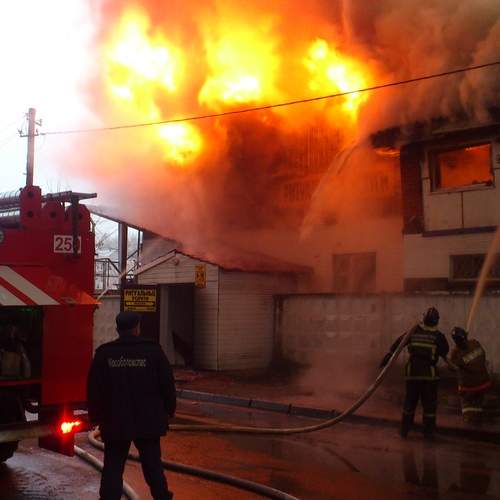 Фотография #13305940