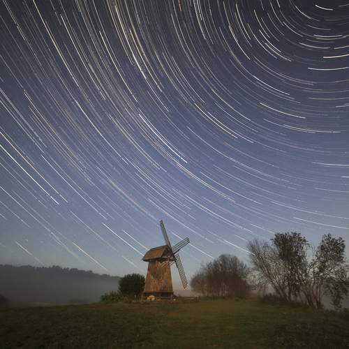 Photo #13305997