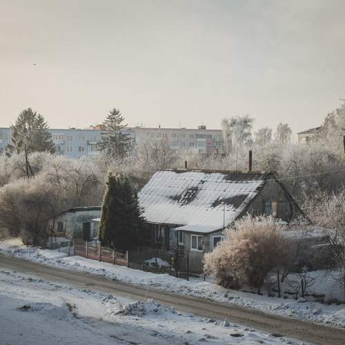 Photo #13306007
