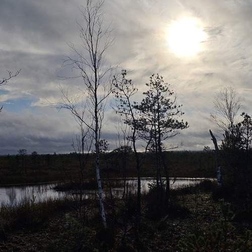 Photo #13306060