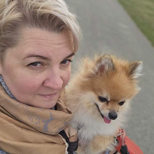 Photo #13306062