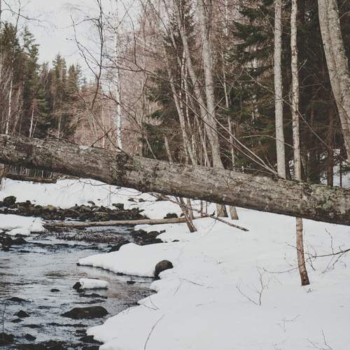 Photo #13306276