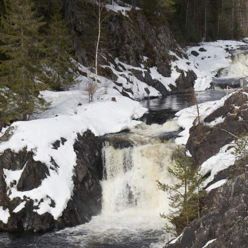 Photo #13306277