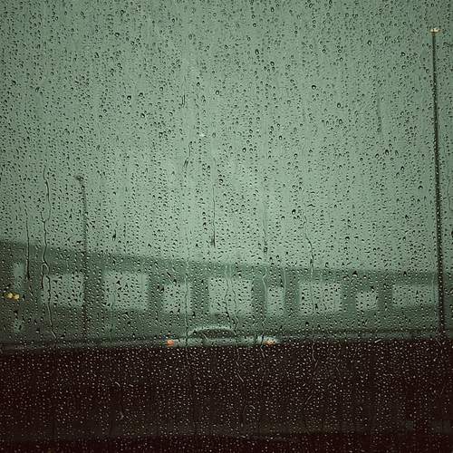 Photo #13306406