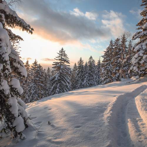 В закатных оттенках