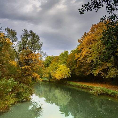 Photo #13306482