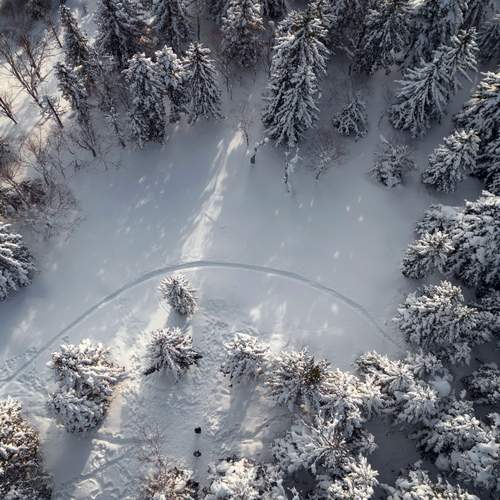 Фотография #13306491