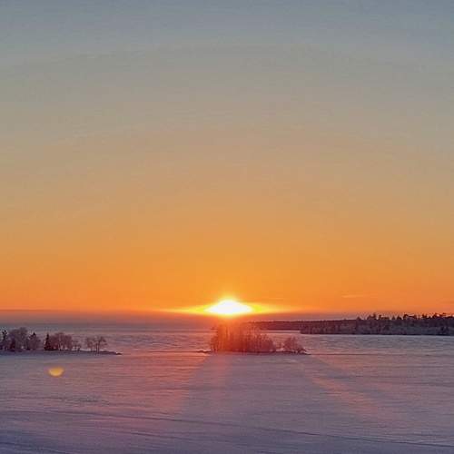 Photo #13306526