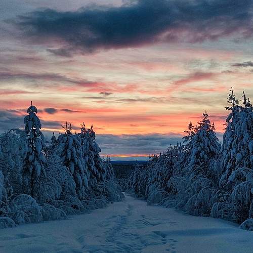 Photo #13306531