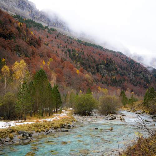 La magia del Otoño