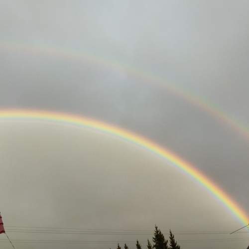 Photo #13306559