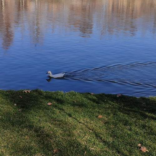 Photo #13306749