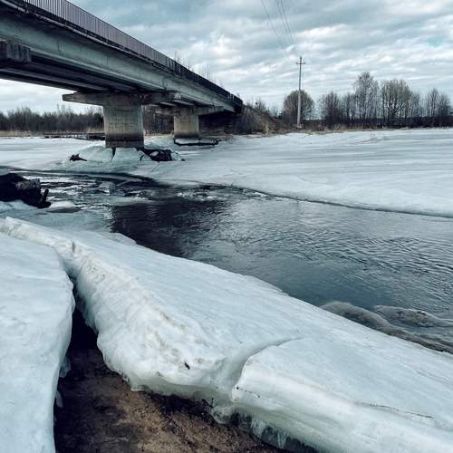 Photo #13306918