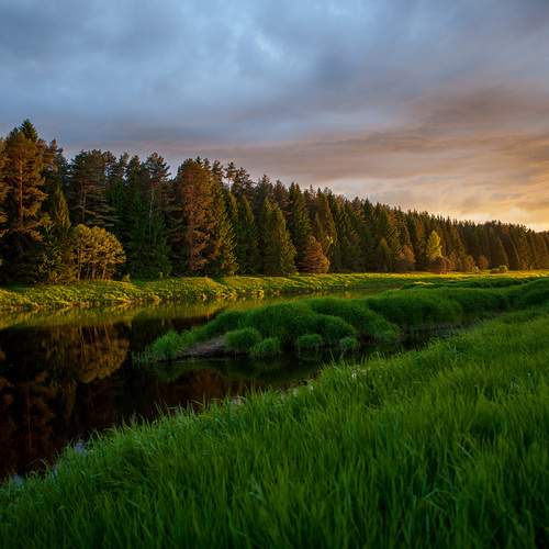 Photo #13306963