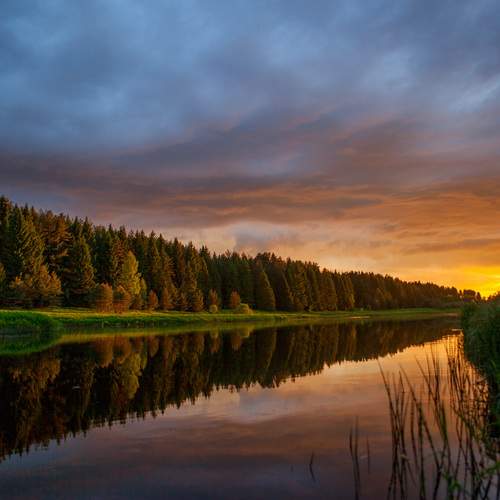 Photo #13306964