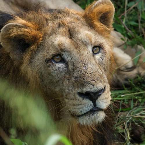 Photo #13306987