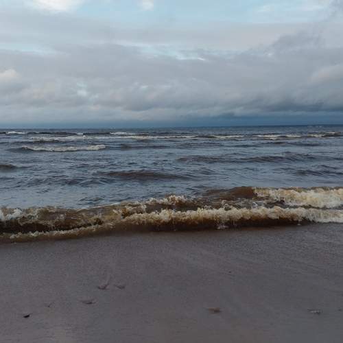Photo #13307132