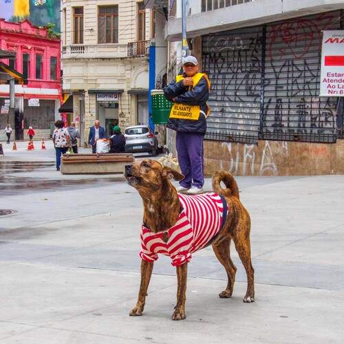 Photo #13307141