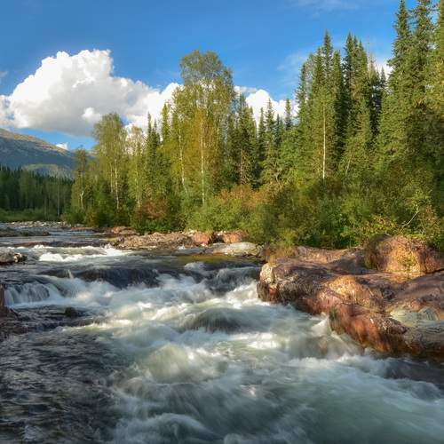Река Малый Казыр в Кузнецком Алатау