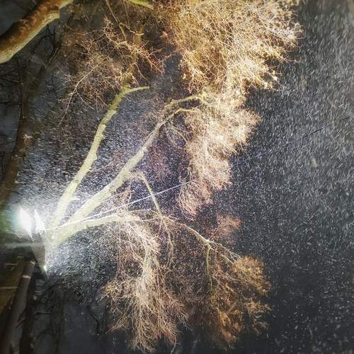 Танец снега