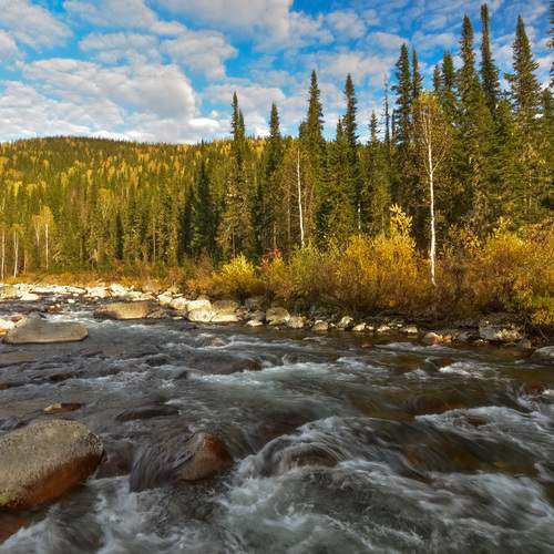 Осень на реке Малый Казыр