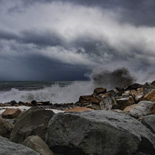 Photo #13307283