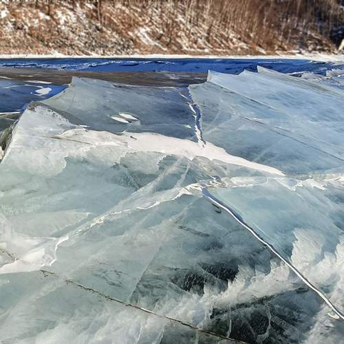 Photo #13307338