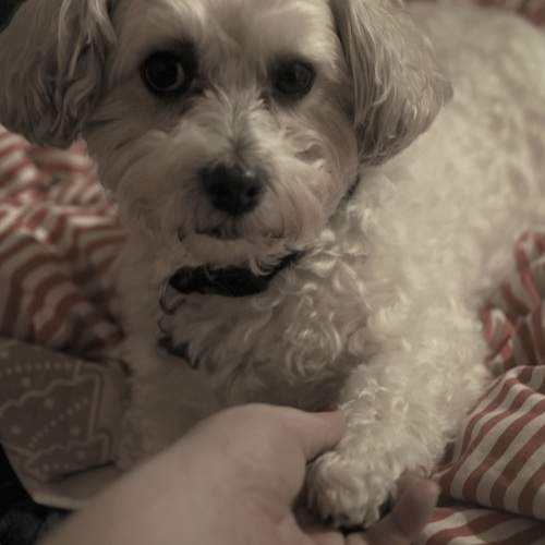 Photo #13307414