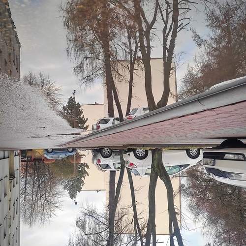 Фотография #13307498