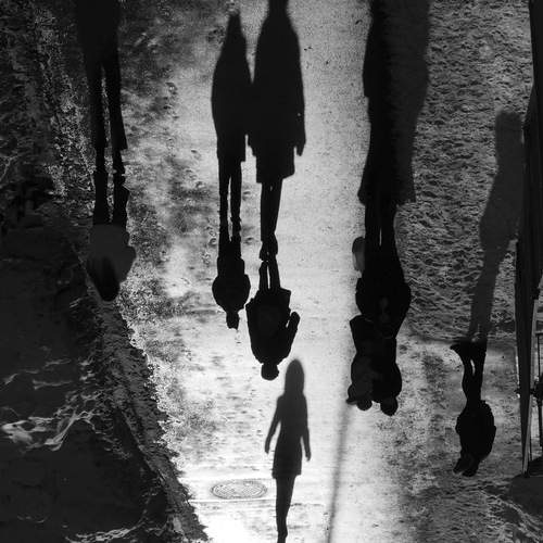 Фотография #13307532