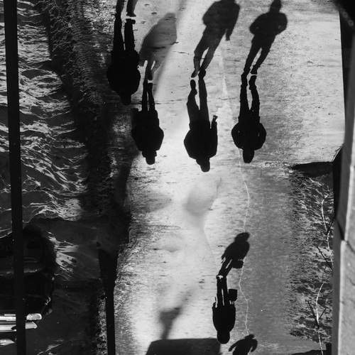 Фотография #13307533