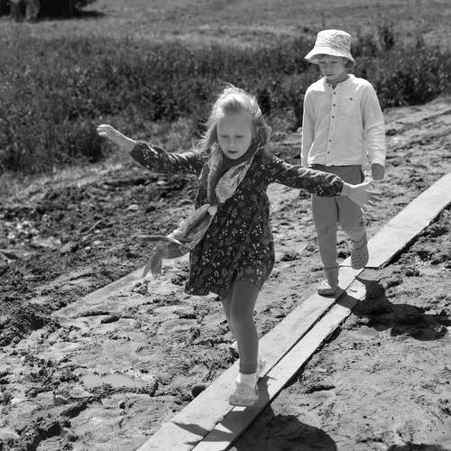 Photo #13307626