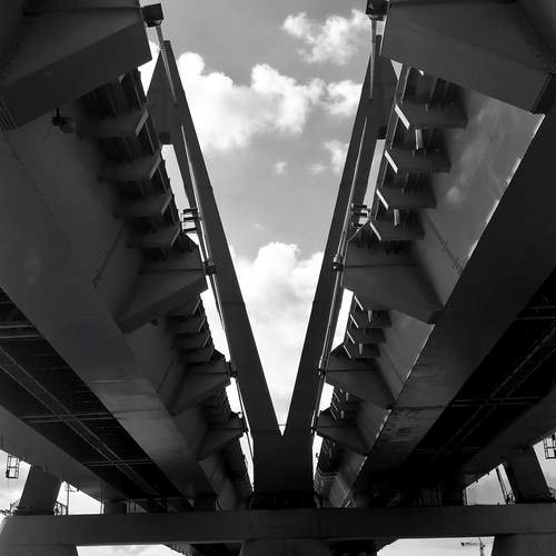 Photo #13307645