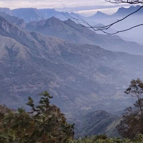 Photo #13307675