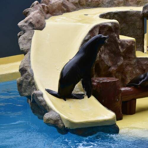 Фотография #13307706