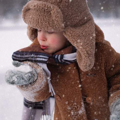 Photo #13307770