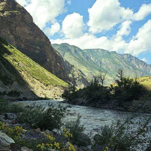 Фотография #13307797