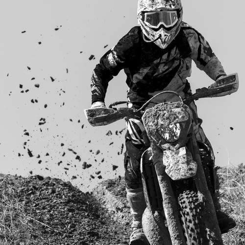 Photo #13307806